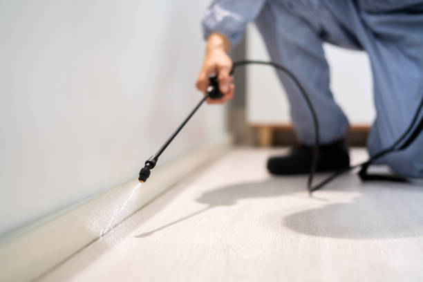 Certified termite inspector examining foundation in Dousman